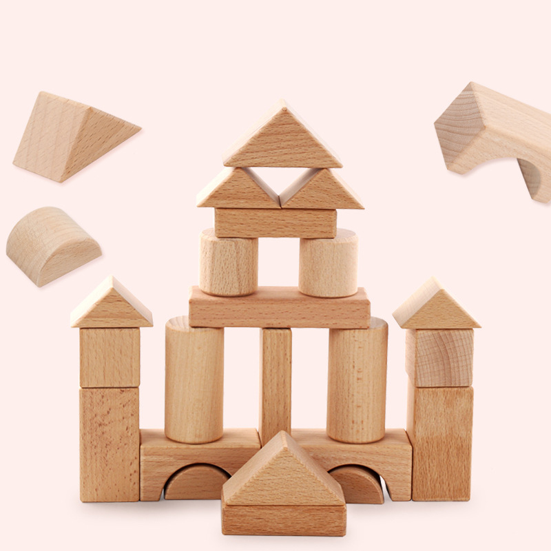 22pcs Building Blocks Beech Wo - Kids Education Login 评论和价格
